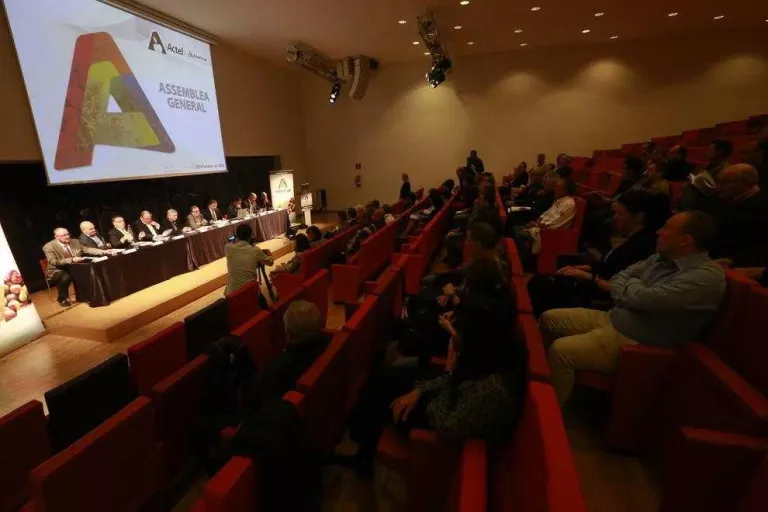 ActelGrup obté un benefici d’1,4M€ i remunta després del "fracàs d'exportar a la Xina"