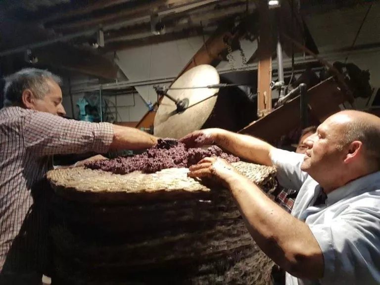 La Granadella tasta el primer oli nou