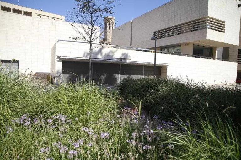 El Museu, sense bar fins al 2018 al quedar desert el concurs