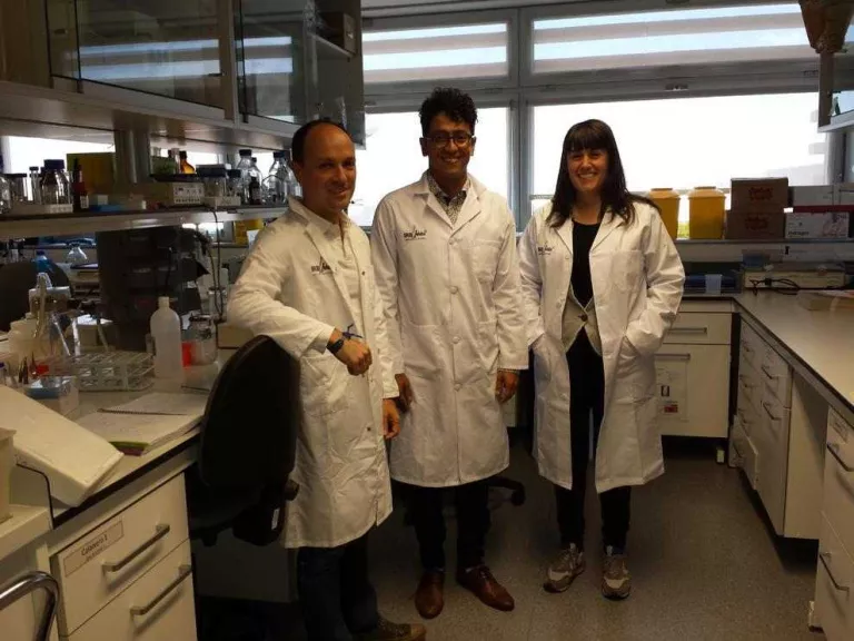 Investigadors de la UdL faran un estudi pioner sobre el ginseng amb corredors de la Pujada a la Seu Vella i la Sant Silvestre