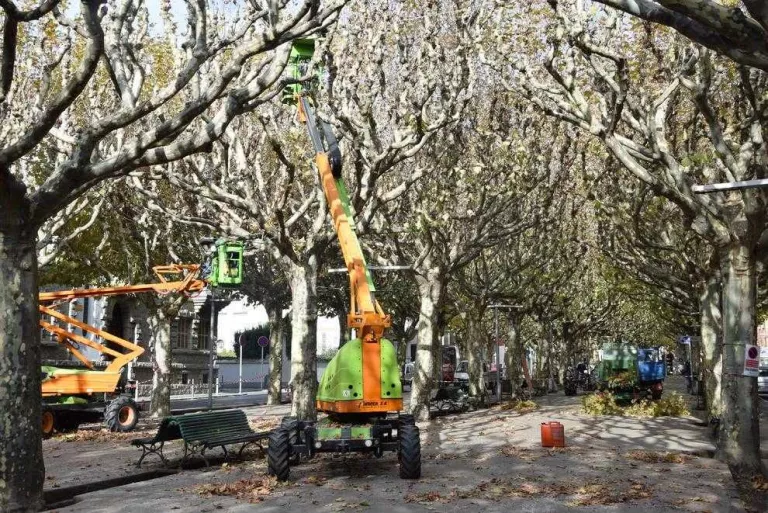 Inicien la poda d’arbres i arbustos a la Seu d’Urgell