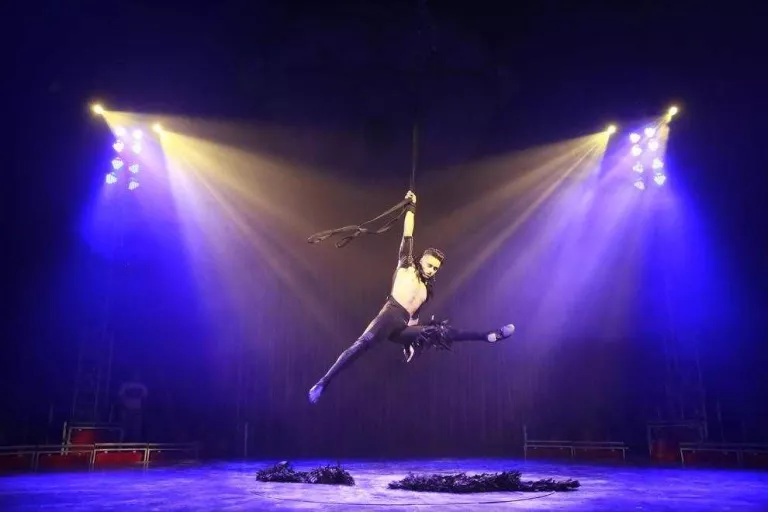 El Circo Italiano, a Lleida amb l’espectacle ‘Salvaje’