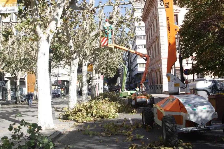 El Tribunal de Contractes anul·la el concurs de jardineria, el més gran que licita la Paeria