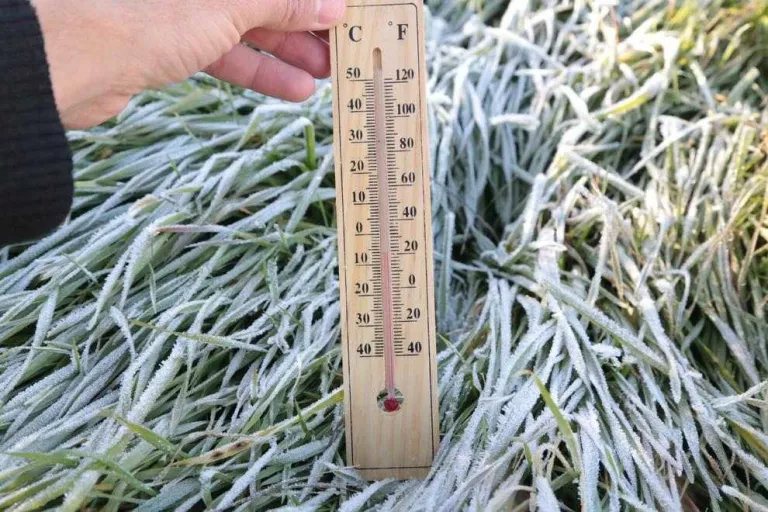 El fred polar arriba a les terres de Lleida