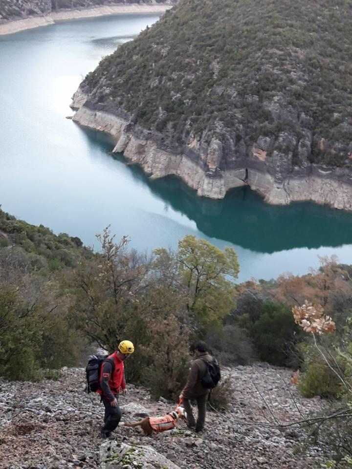 Rescaten un gos atrapat en un cingle a les Avellanes