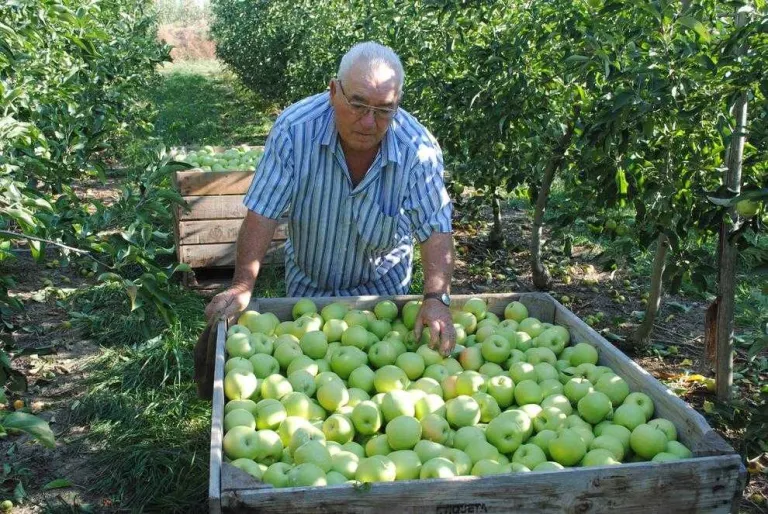 La renda agrària es deixa un 11% en els últims 15 anys