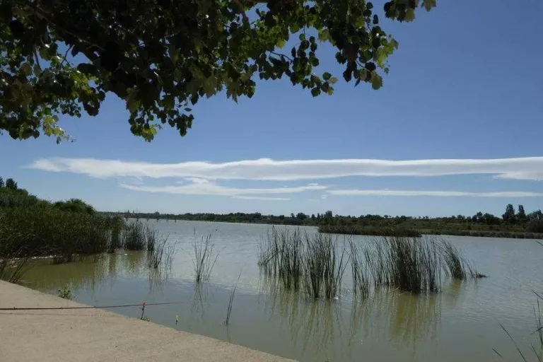 Desapareixen de l’Estany d'Ivars i Vila-sana quatre espècies d’aus i no hi ha llúdries