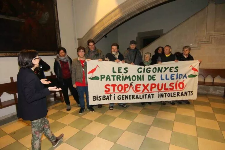 Ipcena 'pren' el bisbat en defensa de les cigonyes