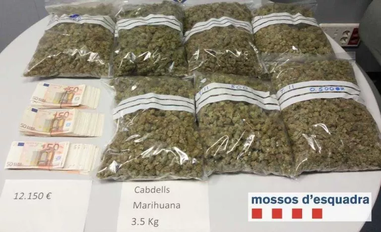 "Volia un quilo de 'maria' per autoconsum, però vaig comprar-ne 3,5 perquè era una ganga"