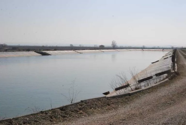 Actuacions d’urgència contra el musclo zebra al Canal d’Urgell