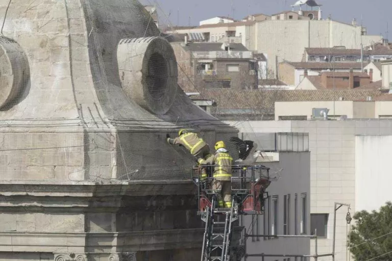 Territori revisarà les xarxes antinius de la Catedral al quedar-hi atrapades tres cigonyes