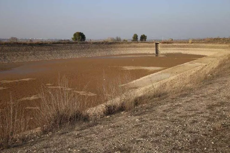 L'Urgell buida basses per combatre el musclo zebra
