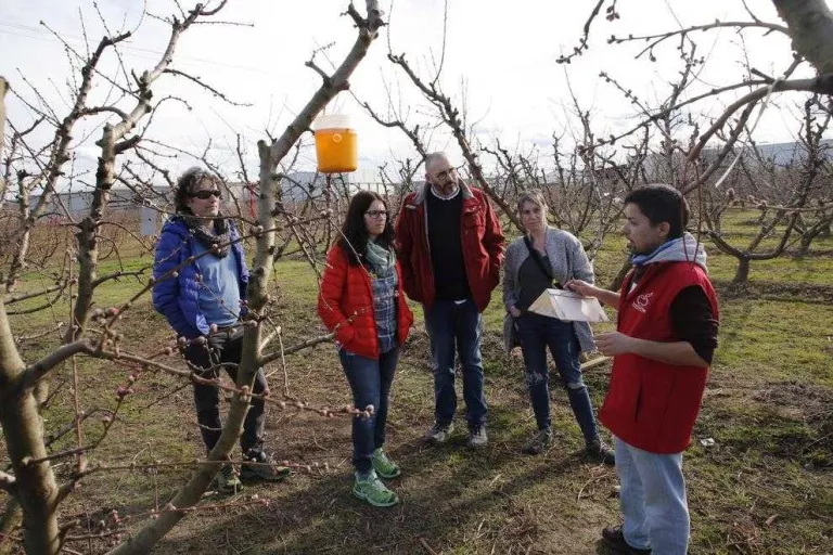 Aitona ‘estrena’ les rutes pels camps fruiters
