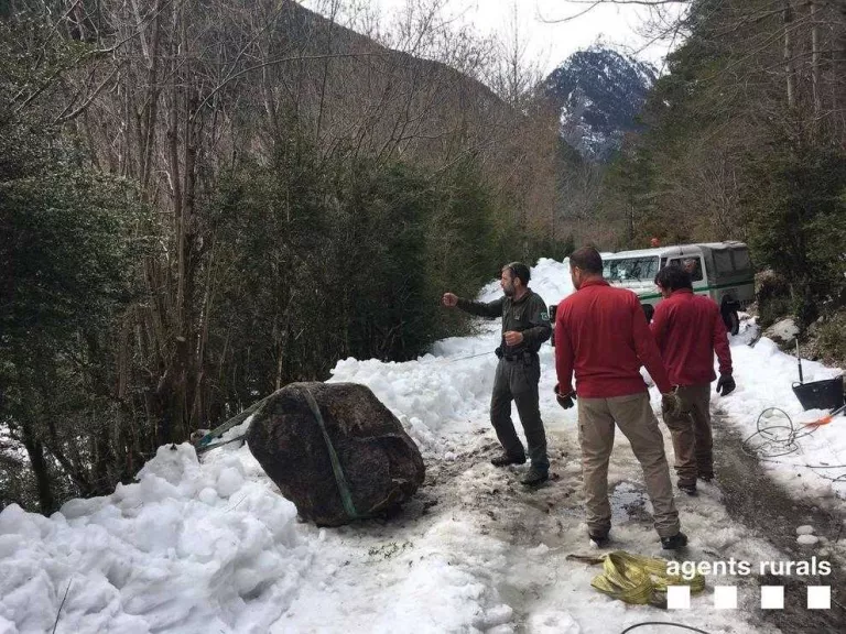 Rurals al costat de la roca despresa a l’accés al parc.