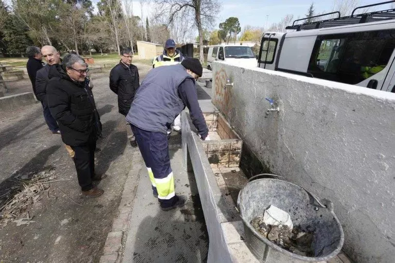 Aquesta Mona serà l'última a l'actual àrea de pícnic de les Basses