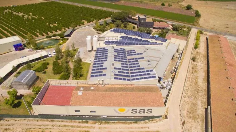 Imatge de l’empresa Sustainable Agro Solutions.