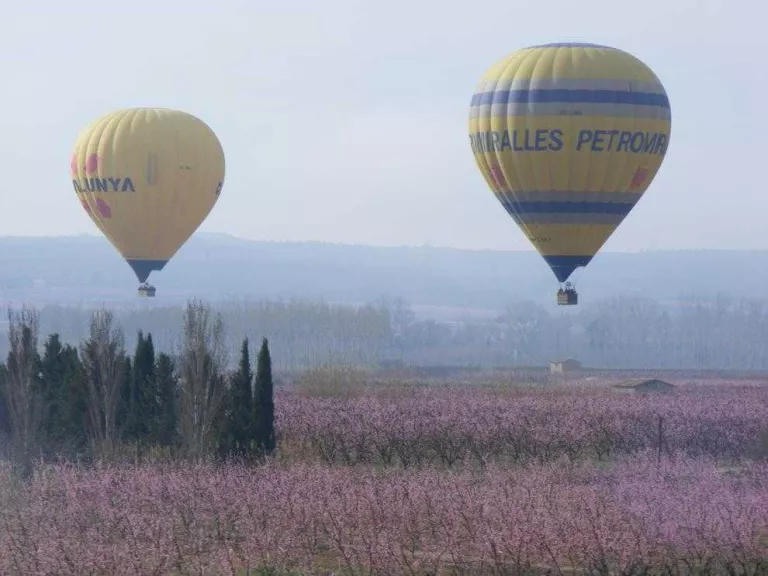 Aitona prepara la campanya turística de la recollida de la fruita