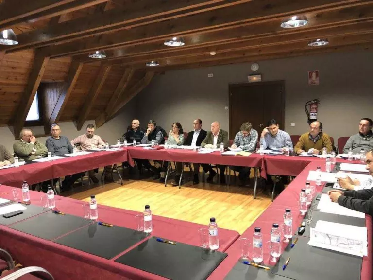 Front comú a Aran contra el projecte de Foment de l’N-230