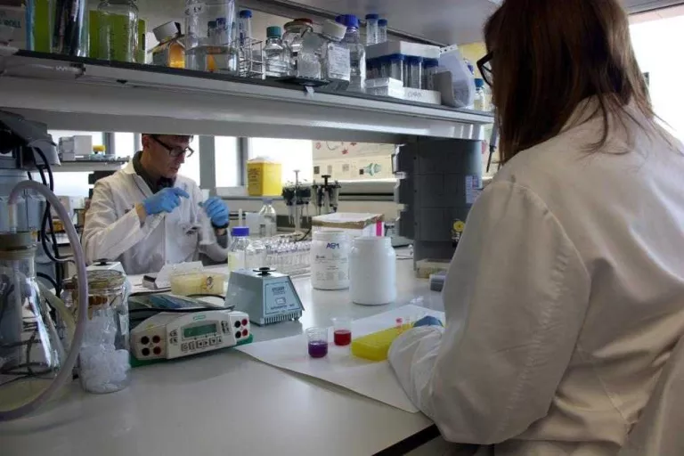 Quatre de cada deu alumnes de la UdL demanen beca per pagar els estudis