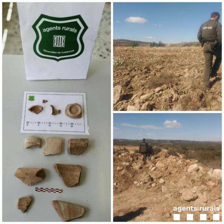 Denunciat per causar danys en un jaciment a Juneda