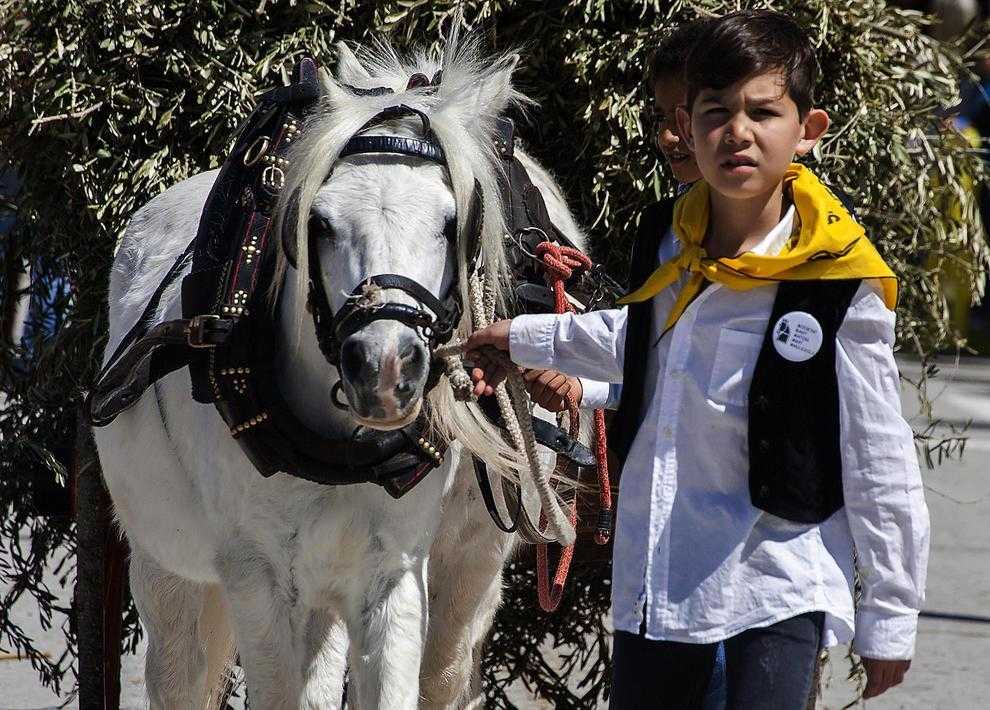 Multitudinaris Tres Tombs a Anglesola
