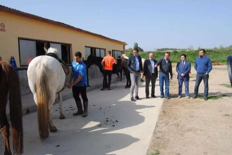 Mollerussa, seu d'un campionat eqüestre amb més de dos-cents cavalls