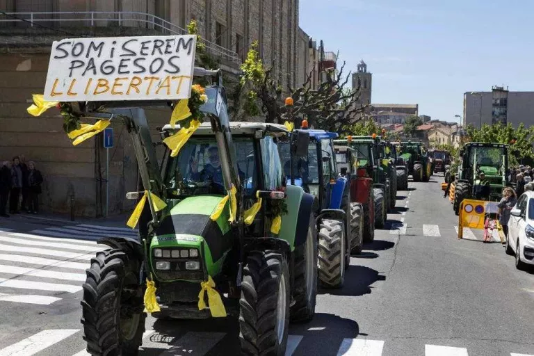 Honors per a Sant Isidre
