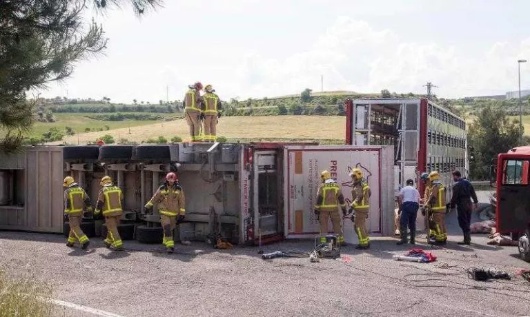 Bolca un camió amb porcs a Cervera i talla l’L-303 durant gairebé 7 hores