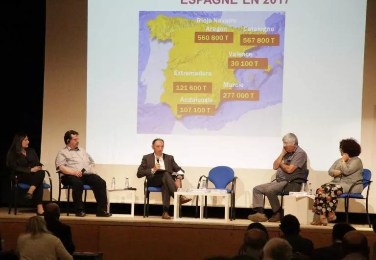 La curta collita de fruita de pinyol es repeteix a Europa, al caure un 8%
