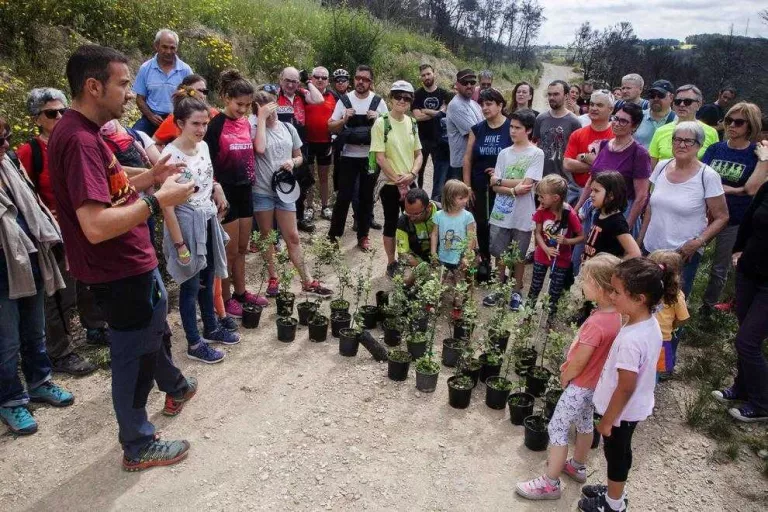 Vallbona s'uneix per plantar alzines i regenerar el bosc cremat