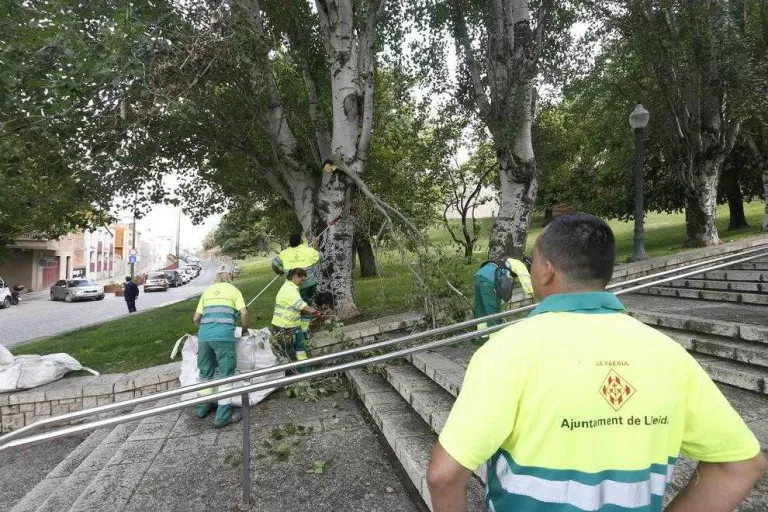 Operaris dels serveis de jardineria, als voltants de la Seu.