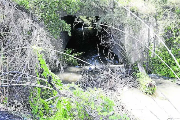 El tram baix del riu Segre, 51 dies per sobre dels 100 m cúbics per segon