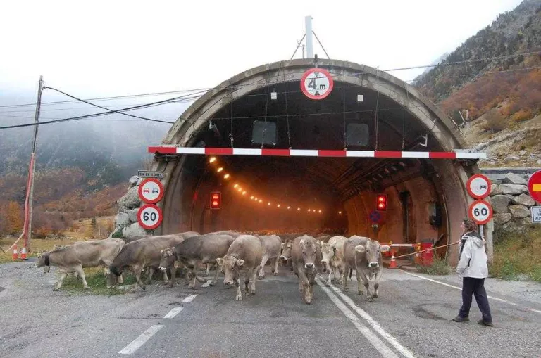 Reclamen obrir el vell túnel de Vielha a la transhumància