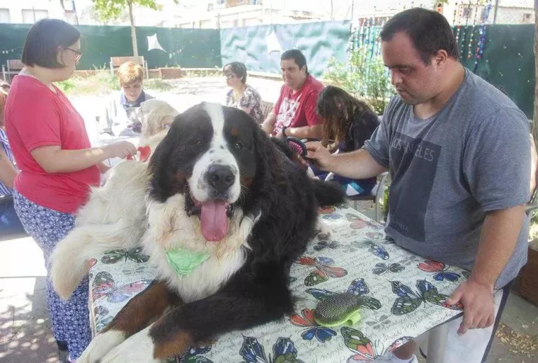 Un donatiu garanteix les sessions de teràpia canina de l'Espígol de Cervera
