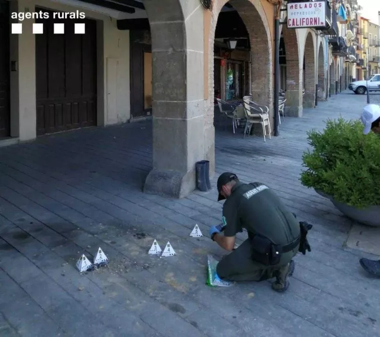 Destrueixen nius d’orenetes a Balaguer i les Borges Blanques