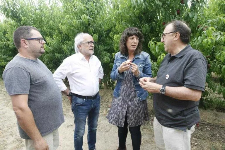 Jordà demana retirar 80.000 t de fruita de pinyol del mercat