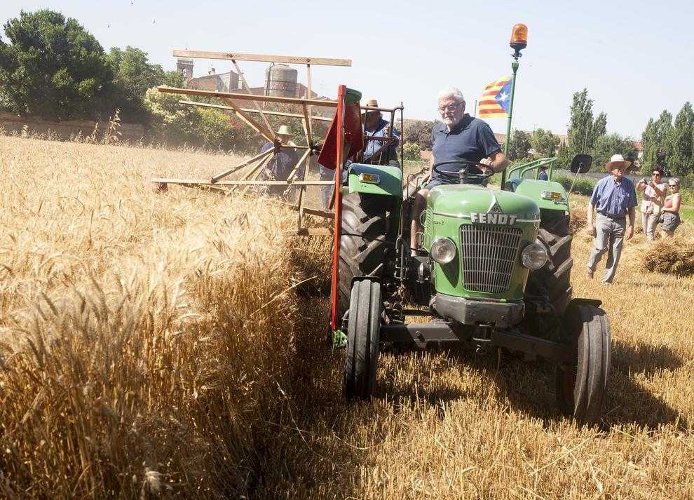 Perillen les festes del Segar i el Batre de la Fuliola