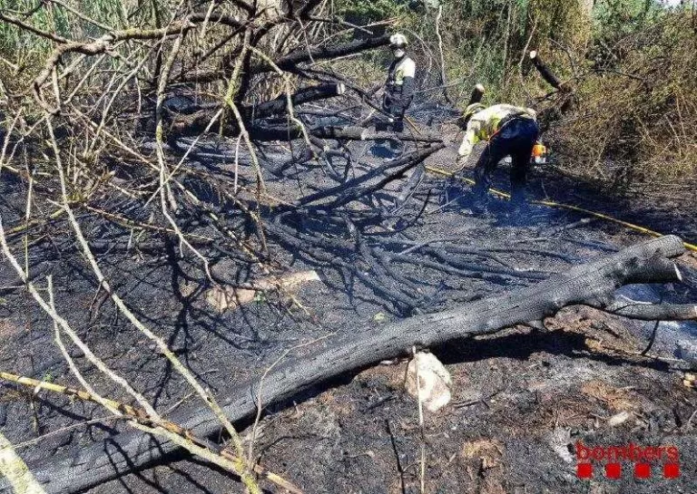 Un foc calcina 4,2 hectàrees entre Balaguer i la Sentiu de Sió