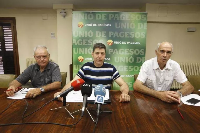 L’augment de producció mundial de porcí pressiona sobre el preu