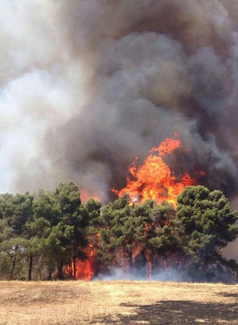 Inclouen com a danys d’un foc el cost de l’operatiu d’extinció