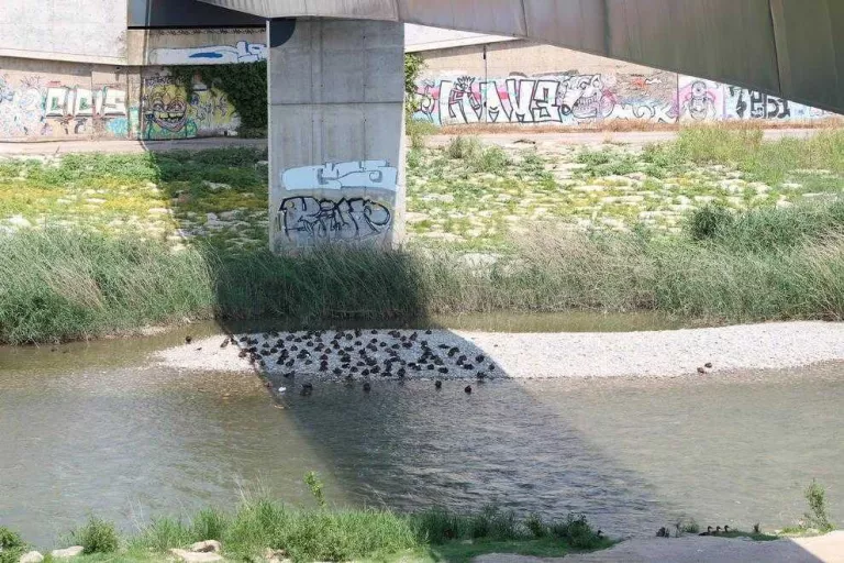 Nova calorada a Ponent, amb temperatures de més de 37ºC