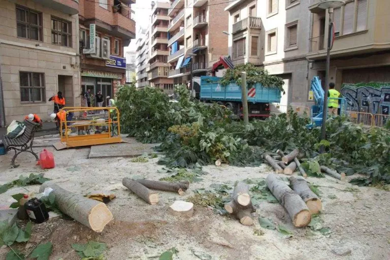 Gimcana a Noguerola per les obres