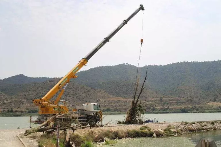 La CHE ja retira troncs del Segre a Mequinensa