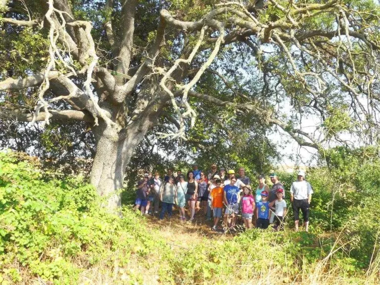 Impulsen un inventari d'arbres singulars de la Segarra