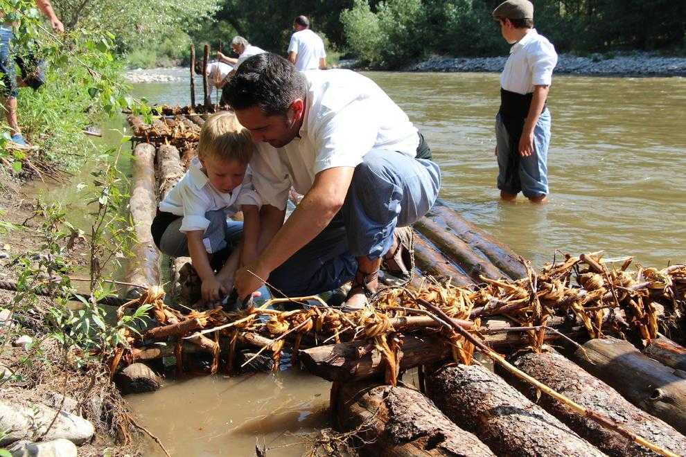 Els rais tornen a solcar el Segre