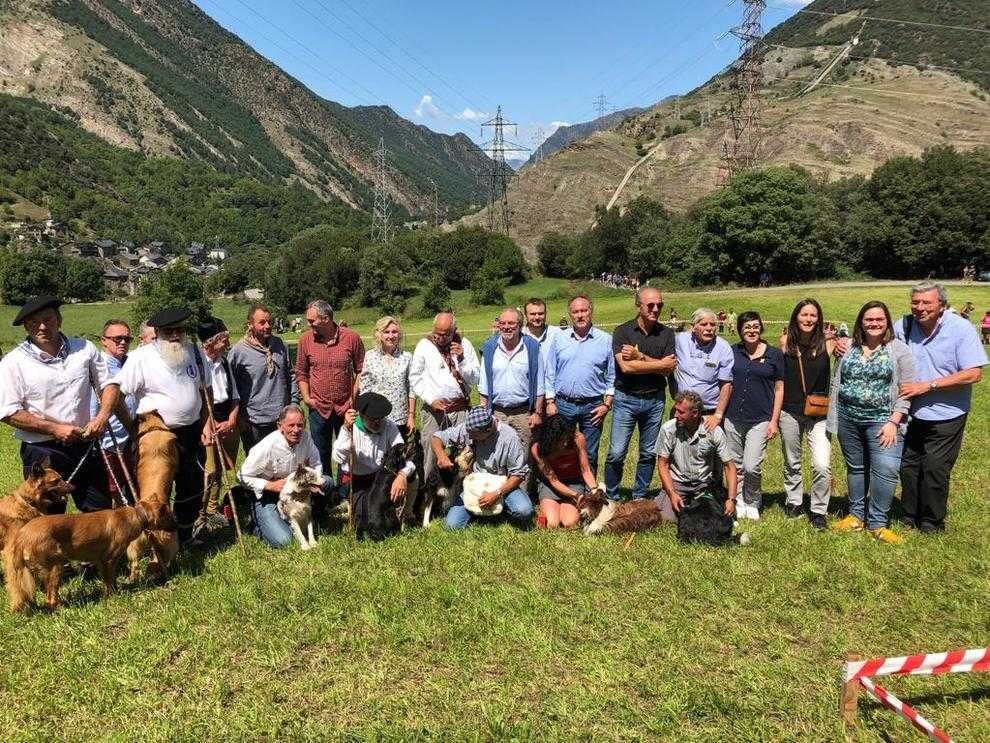 Pastors d’estrena en el concurs de gossos d'atura de Llavorsí