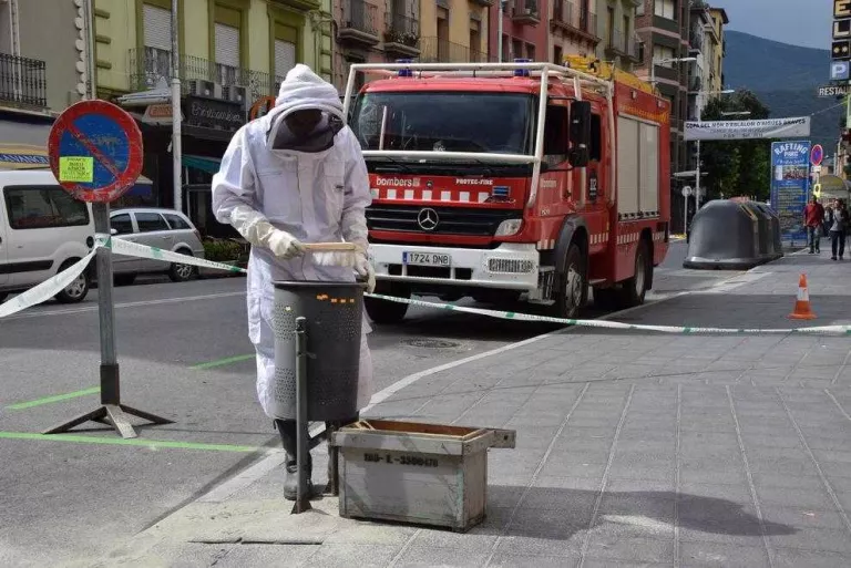 Retiren abelles de la capital de l’Alt Urgell