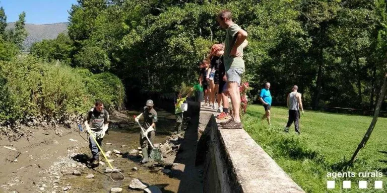 Rurals rescaten 600 truites autòctones al Pallars Sobirà