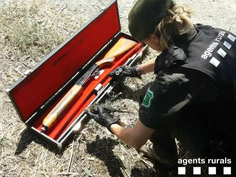 Rurals aixequen 3 actes a Preixana per caçar merles i utilitzar munició prohibida