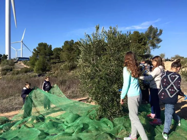 Tallers escolars sobre l’oli al Centre de la Granadella